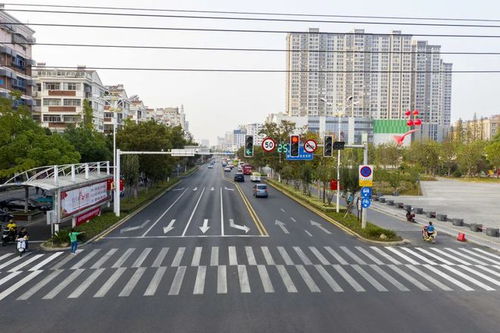 完美收官，華陽路路面改造工程順利通過綜合驗收
