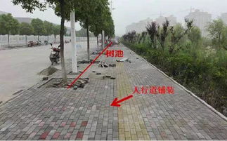 從識圖算量到施工工藝 深圳市政造價培訓(xùn)路面工程深度解析